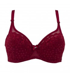 Bra Anfen 31-067C