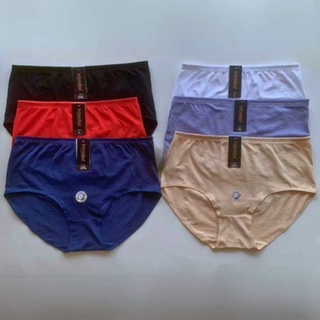Intimidao 7311 Cotton Panties - Wholesale women's panties offering great quality at great prices.