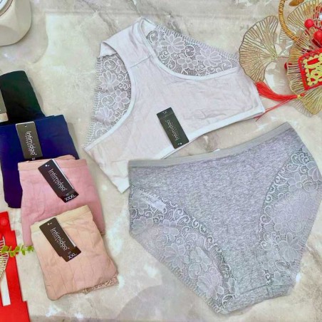 Intimidao D7 panties - wholesaler of high quality cotton panties
