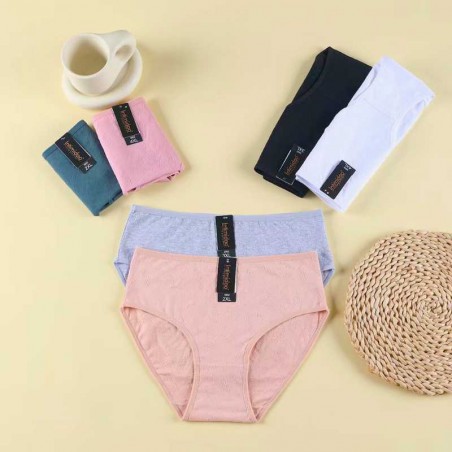 Intimidao Cotton Panties 3802 - Wholesale Quality Women's Panties