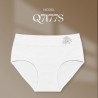 Intimidao panties Q7177S - women's panties BIO Cotton Premium in pastel colours | Anfen.eu lingerie wholesaler