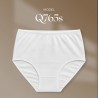 Intimidao Q765S - women's panties BIO Cotton Premium with delicate striped pattern | Anfen.eu lingerie wholesaler