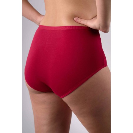 Intimidao 751 panties