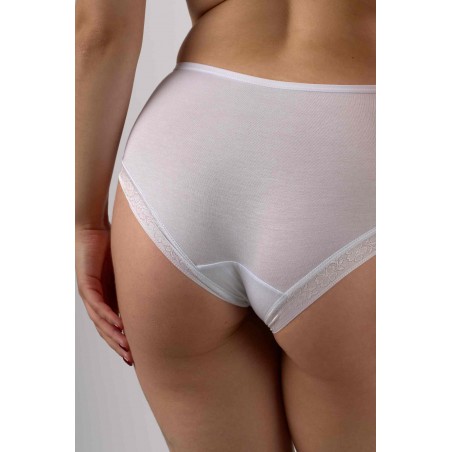 Intimidao 2B88 briefs - Women's Lingerie Wholesale - Online - Cotton