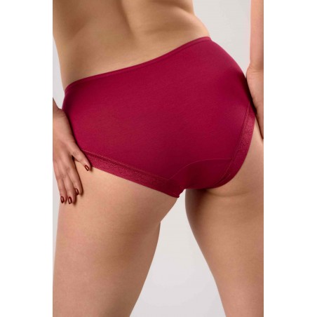 Intimidao 2B88 briefs - Women's Lingerie Wholesale - Online - Cotton